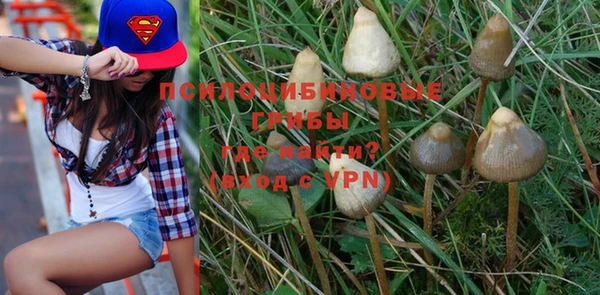 круглые Белокуриха
