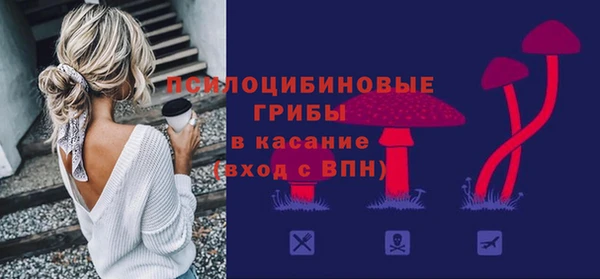круглые Белокуриха