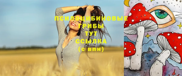ешки Белоозёрский