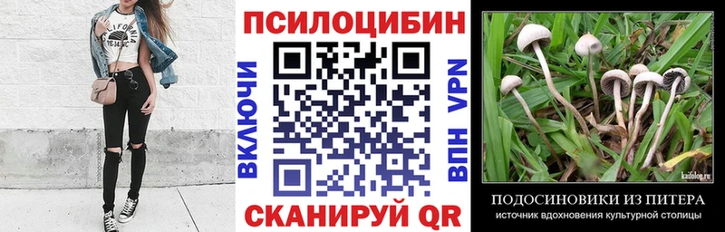 Псилоцибиновые грибы прущие грибы  где найти   MEGA маркетплейс  Ядрин 